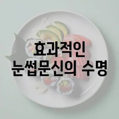 효과적인 눈썹문신의 수명