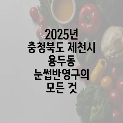 2025년 충청북도 제천시 용두동 눈썹반영구의 모든 것