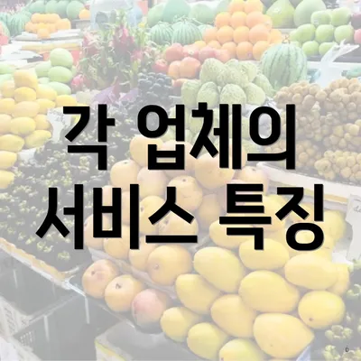 각 업체의 서비스 특징