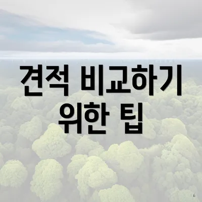 견적 비교하기 위한 팁