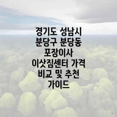 경기도 성남시 분당구 분당동 포장이사 이삿짐센터 가격 비교 및 추천 가이드