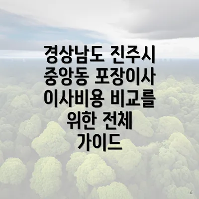 경상남도 진주시 중앙동 포장이사 이사비용 비교를 위한 전체 가이드