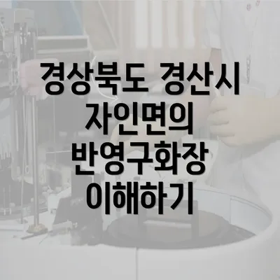 경상북도 경산시 자인면의 반영구화장 이해하기