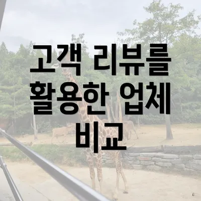 고객 리뷰를 활용한 업체 비교