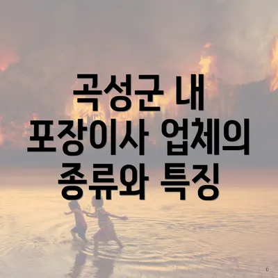 곡성군 내 포장이사 업체의 종류와 특징