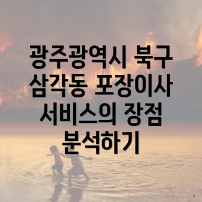 광주광역시 북구 삼각동 포장이사 서비스의 장점 분석하기