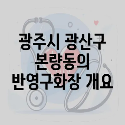 광주시 광산구 본량동의 반영구화장 개요