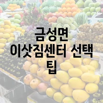 금성면 이삿짐센터 선택 팁