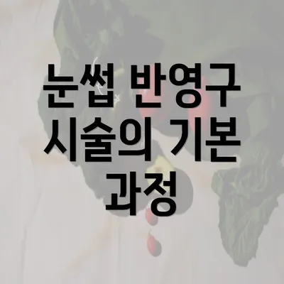 눈썹 반영구 시술의 기본 과정