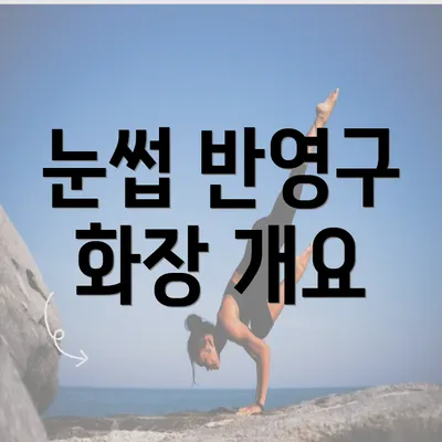 눈썹 반영구 화장 개요