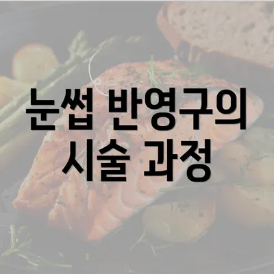 눈썹 반영구의 시술 과정