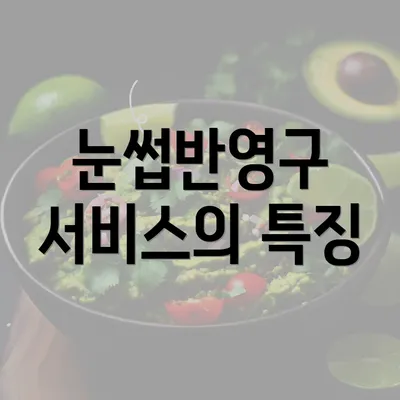 눈썹반영구 서비스의 특징