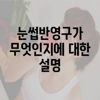 눈썹반영구가 무엇인지에 대한 설명