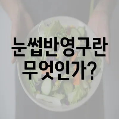 눈썹반영구란 무엇인가?