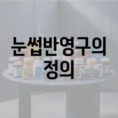 눈썹반영구의 정의