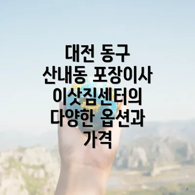 대전 동구 산내동 포장이사 이삿짐센터의 다양한 옵션과 가격