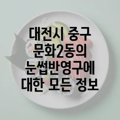 대전시 중구 문화2동의 눈썹반영구에 대한 모든 정보