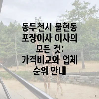 동두천시 불현동 포장이사 이사의 모든 것: 가격비교와 업체 순위 안내