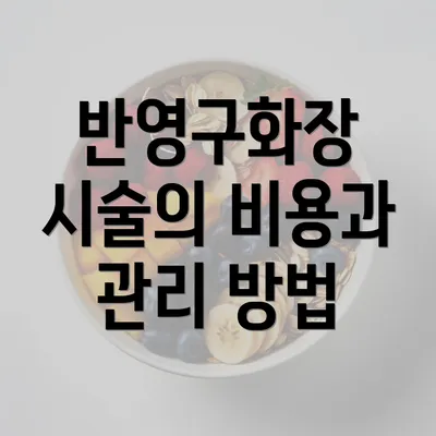 반영구화장 시술의 비용과 관리 방법