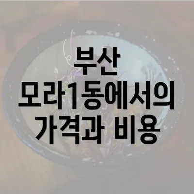 부산 모라1동에서의 가격과 비용