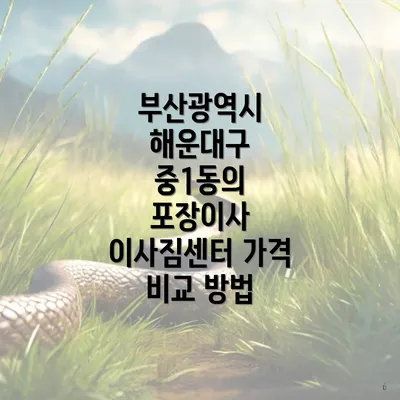 부산광역시 해운대구 중1동의 포장이사 이사짐센터 가격 비교 방법