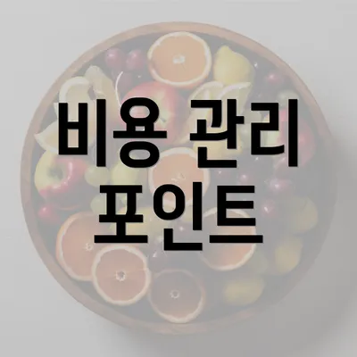 비용 관리 포인트