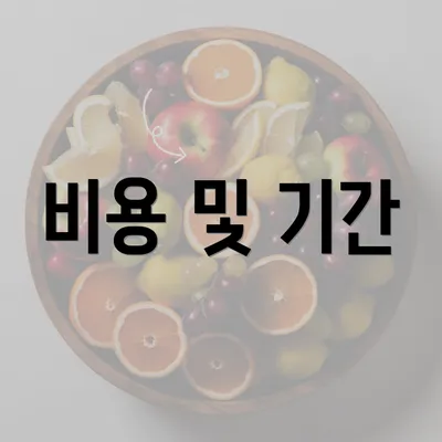 비용 및 기간