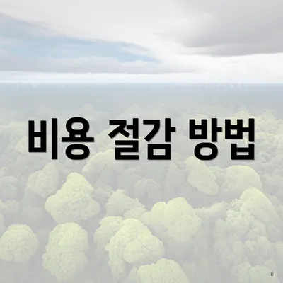 비용 절감 방법