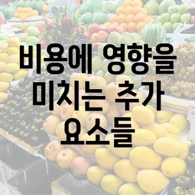 비용에 영향을 미치는 추가 요소들