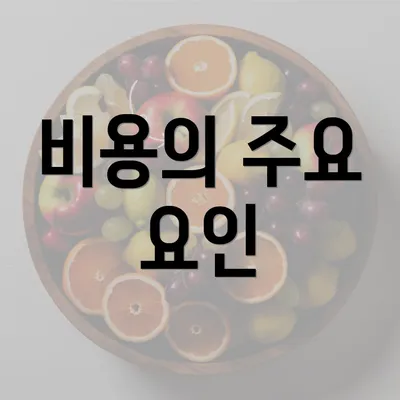 비용의 주요 요인