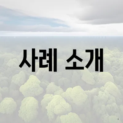 사례 소개