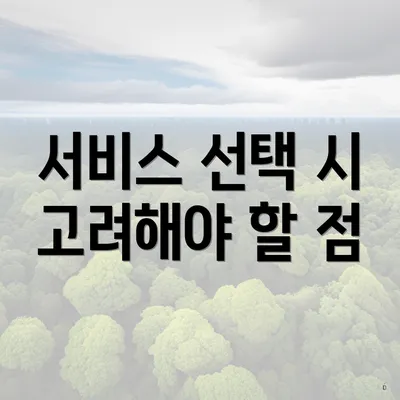 서비스 선택 시 고려해야 할 점