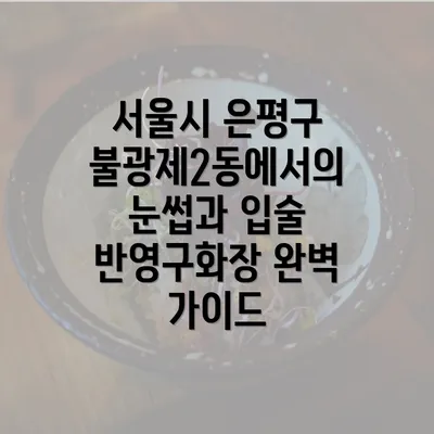 서울시 은평구 불광제2동에서의 눈썹과 입술 반영구화장 완벽 가이드