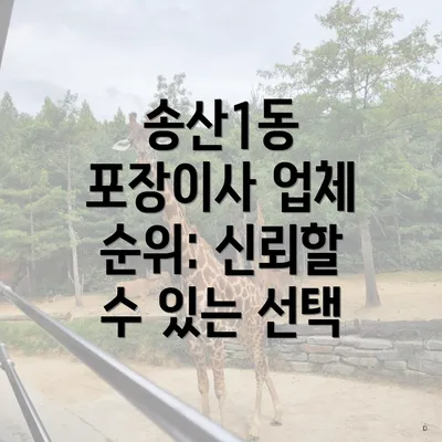 송산1동 포장이사 업체 순위: 신뢰할 수 있는 선택