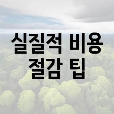 실질적 비용 절감 팁