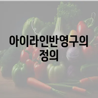 아이라인반영구의 정의