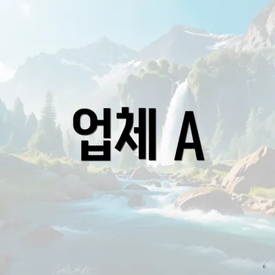 업체 A