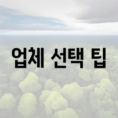 업체 선택 팁