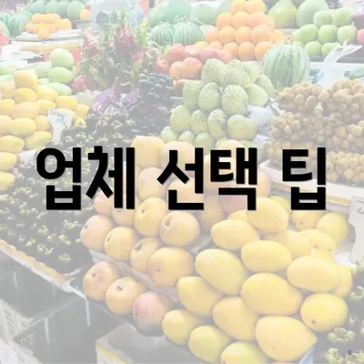 업체 선택 팁