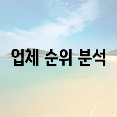 업체 순위 분석