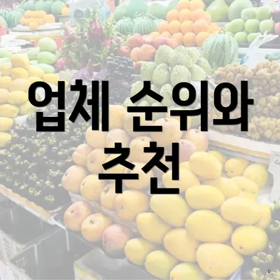 업체 순위와 추천