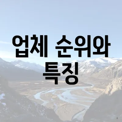 업체 순위와 특징