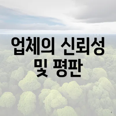 업체의 신뢰성 및 평판