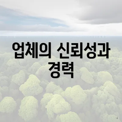 업체의 신뢰성과 경력