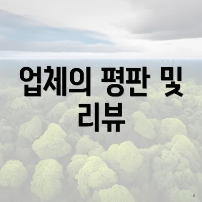 업체의 평판 및 리뷰