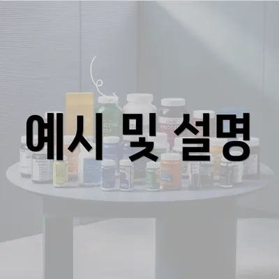 예시 및 설명