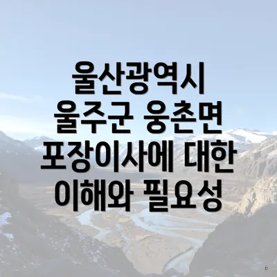 울산광역시 울주군 웅촌면 포장이사에 대한 이해와 필요성