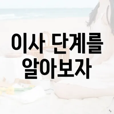 이사 단계를 알아보자