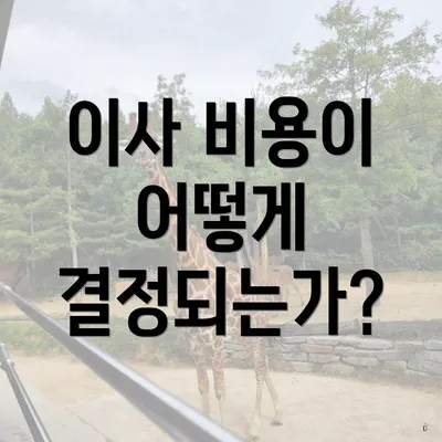 이사 비용이 어떻게 결정되는가?