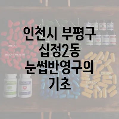 인천시 부평구 십정2동 눈썹반영구의 기초